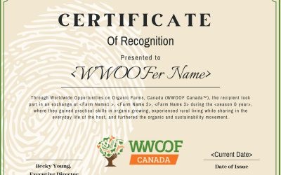Certificate of Participation