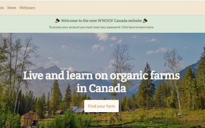 Important considerations for the move to the new WWOOF website