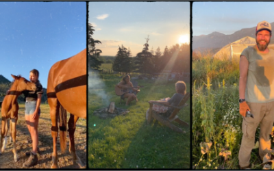 WWOOF TikTok/Reels Contest – THE WINNERS!