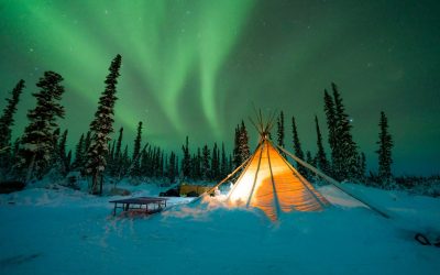 Region Spotlight: Eco-Arctic Villages, Yukon Apples, Herbal Medicine and Iceberg Alley | The North