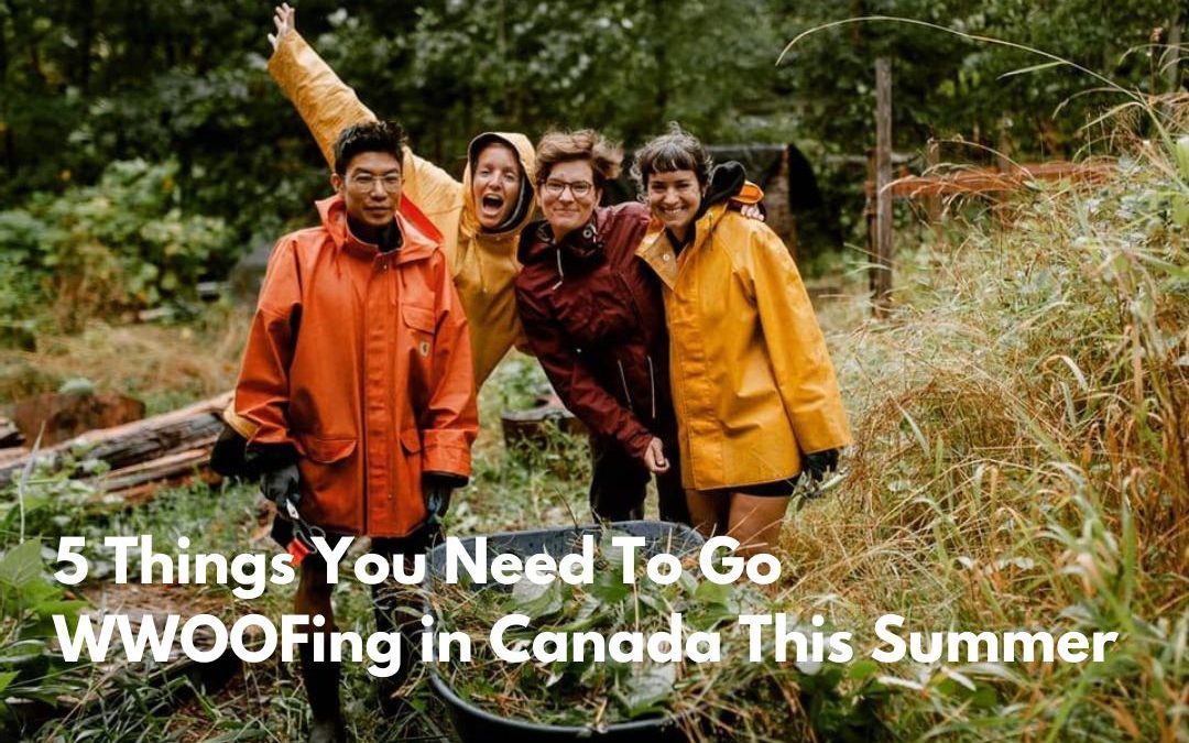 Cinq choses que vous devez avoir pour faire du WWOOFing au Canada cet été
