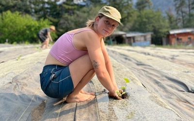 Opportunity Vs. Opportunism: A Note On the WWOOF Exchange