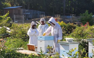 Live & Learn: 6 Tools For Learning about Organic Growing and Sustainable Living