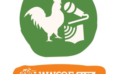 Episode 14 – Alex Lloyd