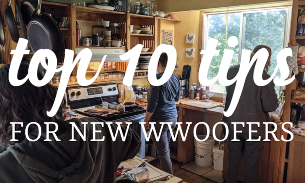 Top 10 Tips for New WWOOFers