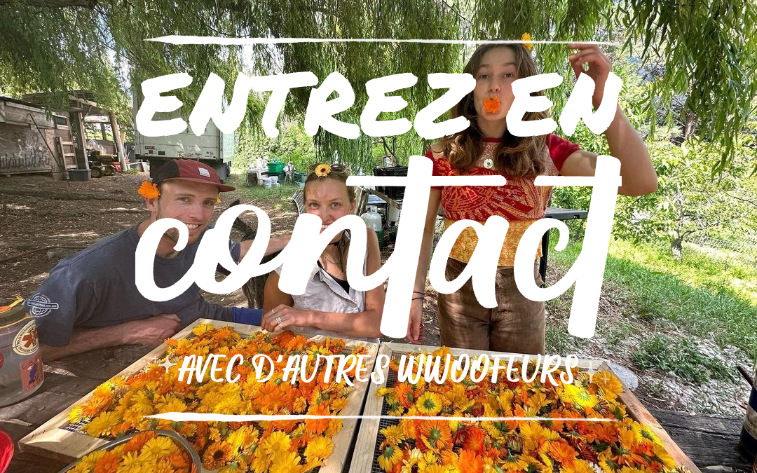 Entrez en contact avec d’autres WWOOFeurs grâce à la Liste des WWOOFeurs