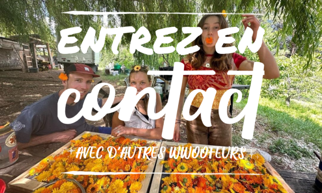 Entrez en contact avec d’autres WWOOFeurs grâce à la Liste des WWOOFeurs