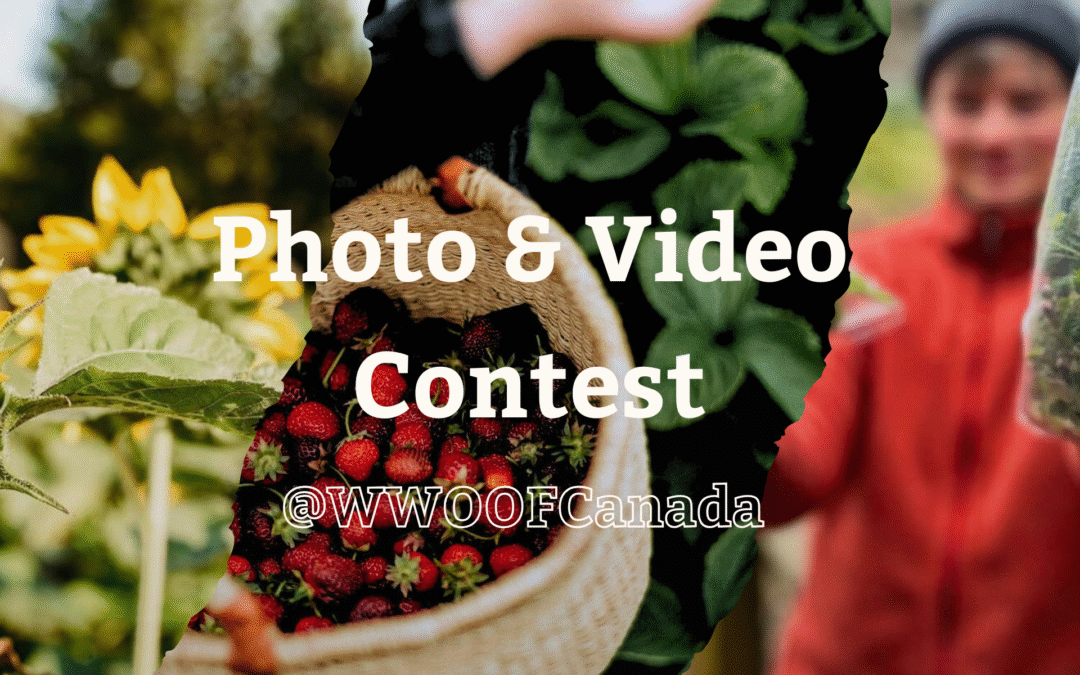 WWOOF Canada’s Photo and Video Contest is back!
