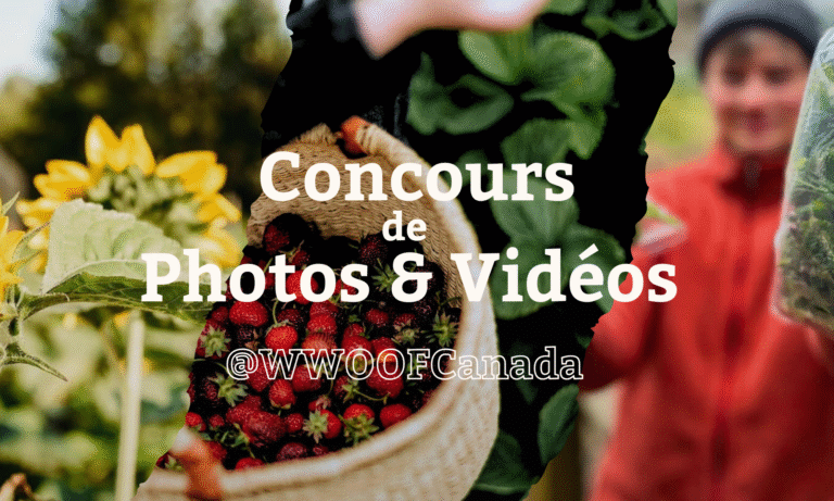blog post