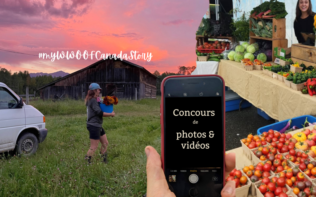 Résultats du concours photo 2026 : nos finalistes et l’image gagnante!
