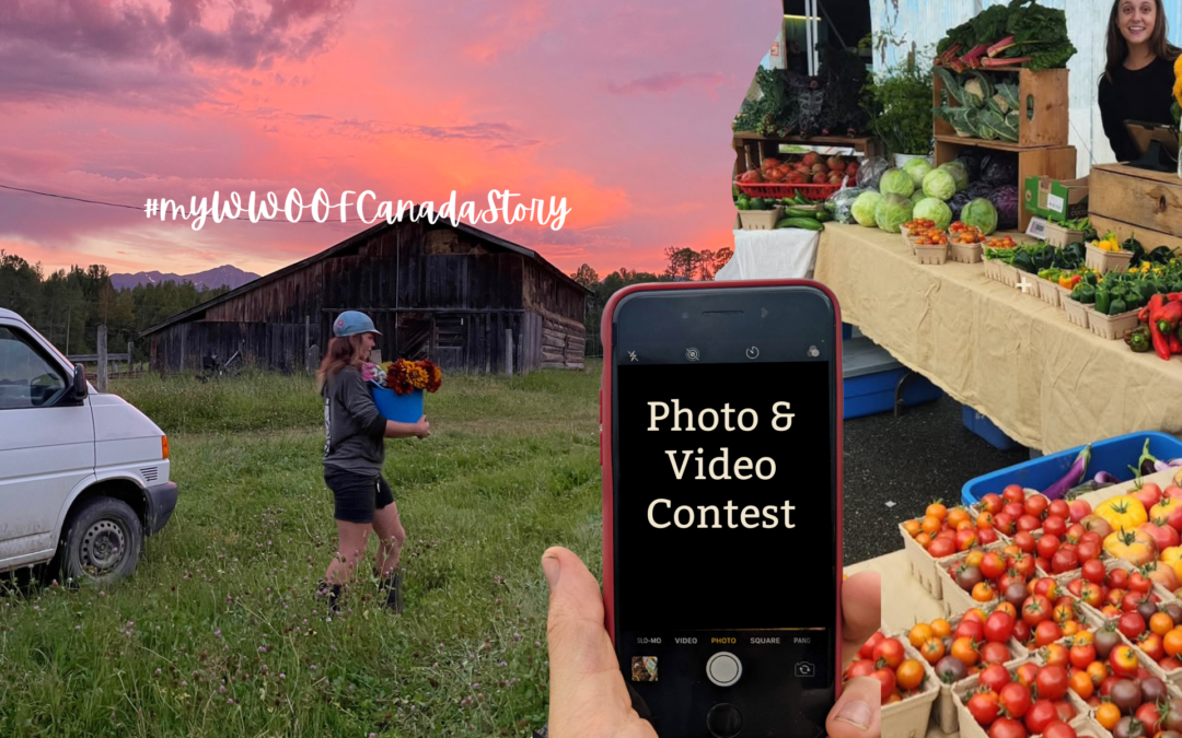 2026 Photo Contest Results: Our Finalists and the Winning Image!