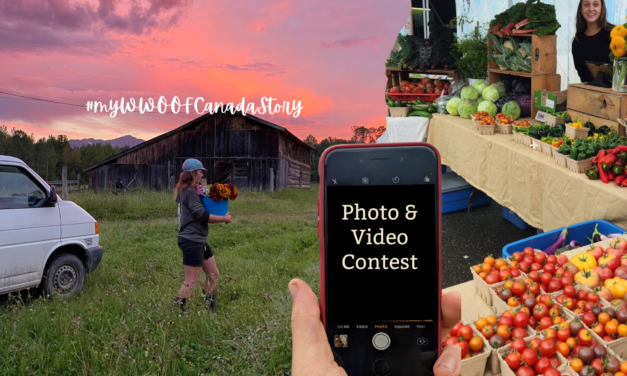 2026 Photo Contest Results: Our Finalists and the Winning Image!