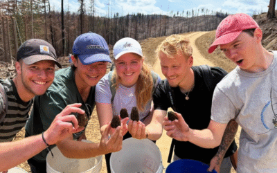  WWOOFing for Newbies: Your 5 Most Common Questions Answered