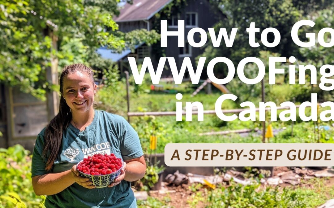How to Go WWOOFing in Canada: A Step-by-Step Guide