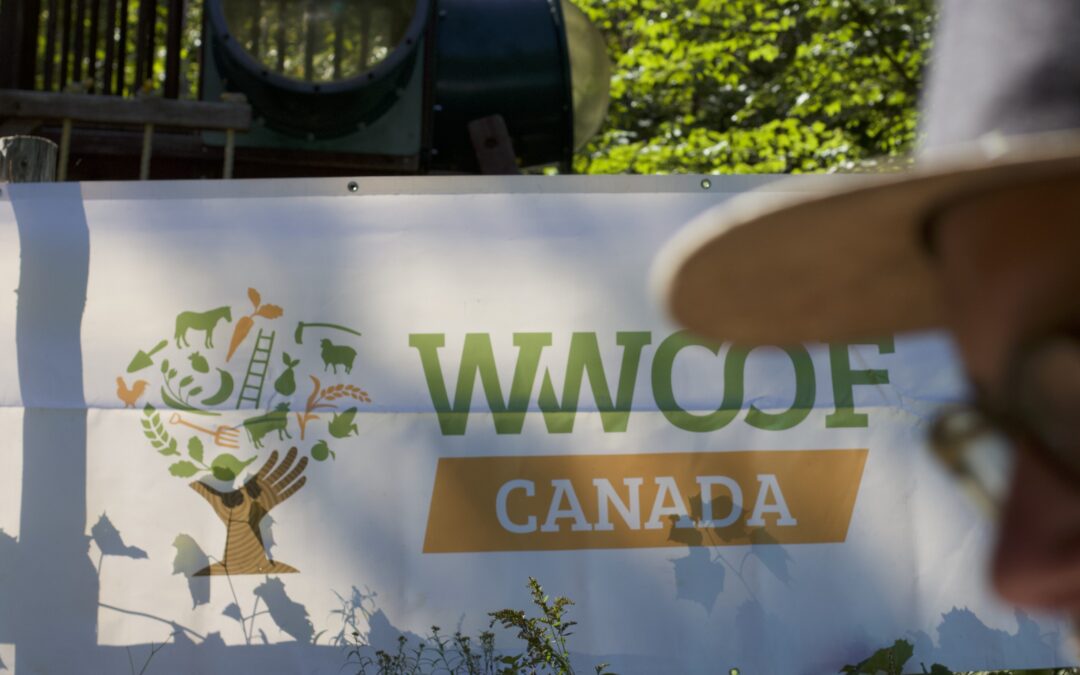 WWOOF Canada est maintenant un organisme de bienfaisance enregistré!