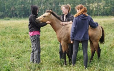 Photo Contest Results: Our Finalists and the Winning Image!