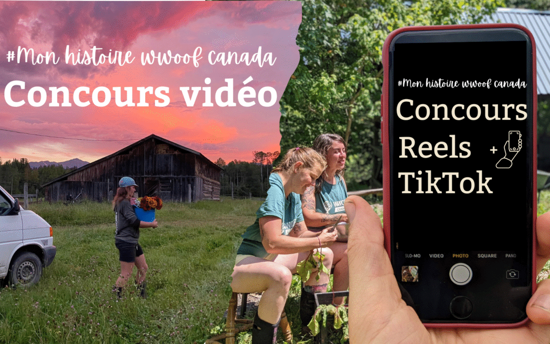 Résultats du concours TikTok et Reels : Les finalistes et la vidéo gagnante!