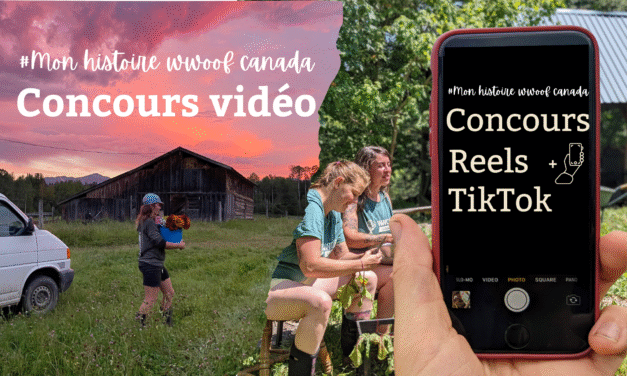 Résultats du concours TikTok et Reels : Les finalistes et la vidéo gagnante!