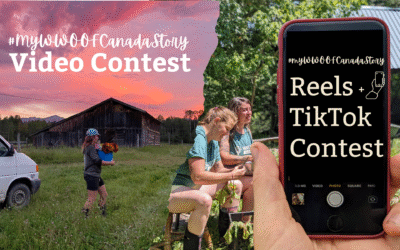 Reel/TikTok Contest Results: Our Finalists and the Winning video!