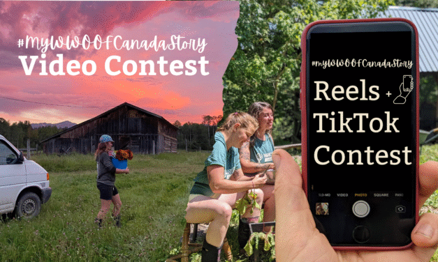 Reel/TikTok Contest Results: Our Finalists and the Winning video!