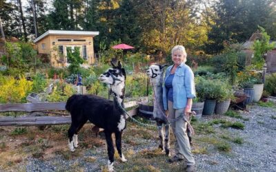 Meet WWOOF Canada’s Board Member: Mary Garden!