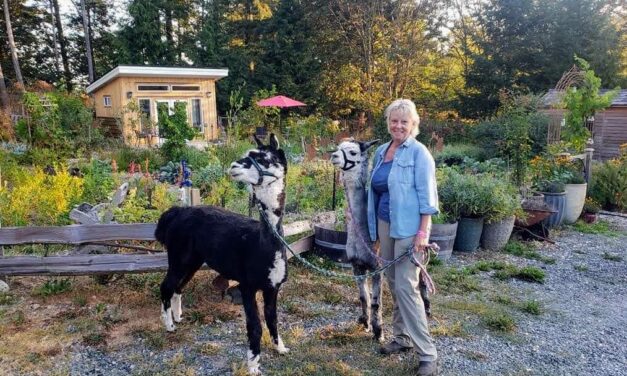 Meet WWOOF Canada’s Board Member: Mary Garden!