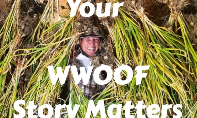 Your WWOOF Story Matters — We’d Love to Hear It