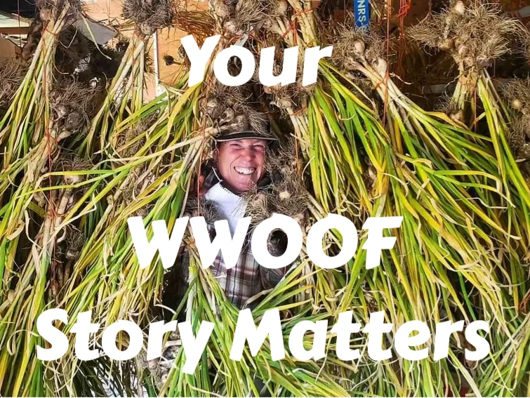 Your WWOOF Story Matters — We’d Love to Hear It