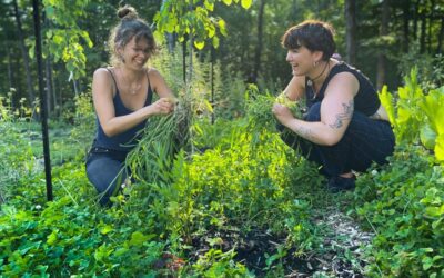Wakeup to Wind Down: A Day on a WWOOF Farm