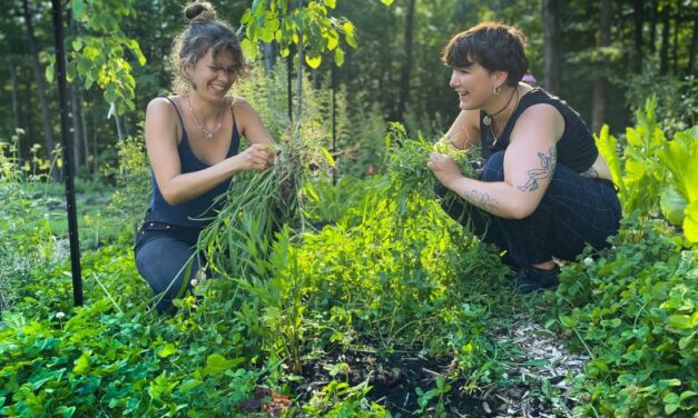 Wakeup to Wind Down: A Day on a WWOOF Farm