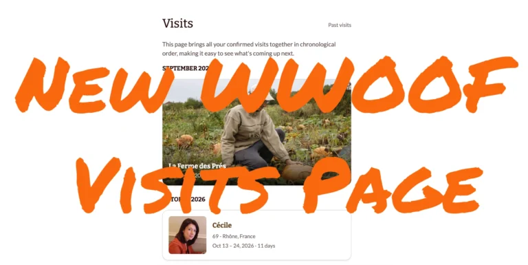 blog post