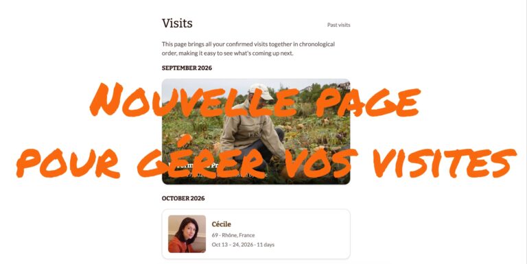 blog post