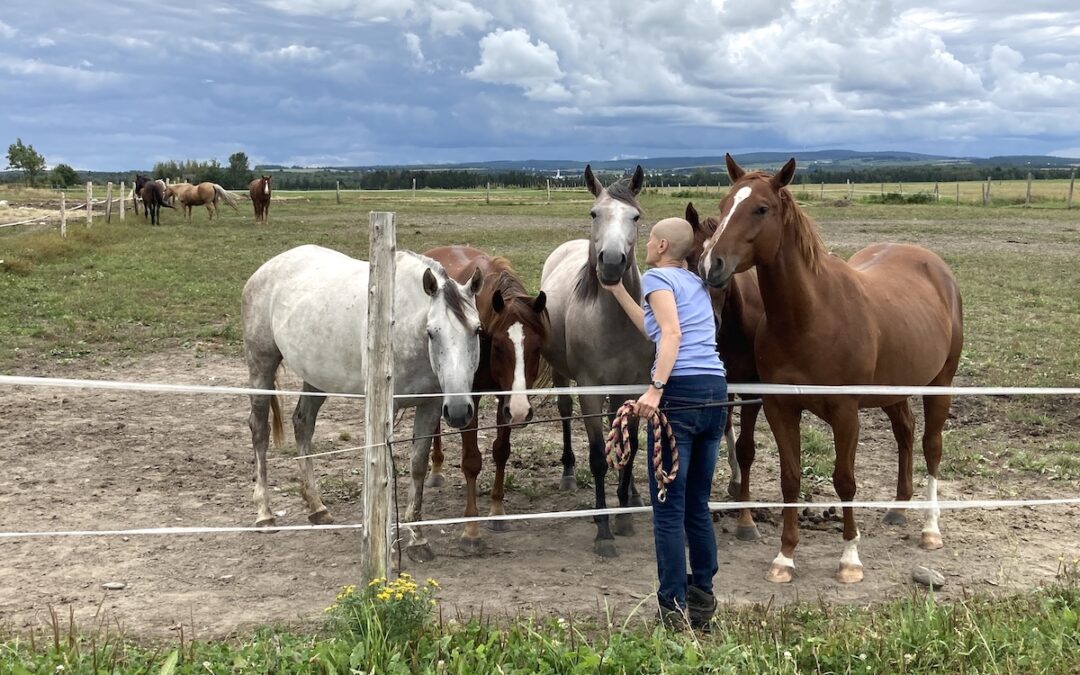 A Shocking Diagnosis Led This WWOOFer to A Life Caring For Horses: Sonia’s Story