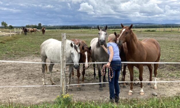 A Shocking Diagnosis Led This WWOOFer to A Life Caring For Horses: Sonia’s Story