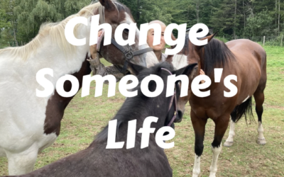 Make Stories Like Sonia’s Possible