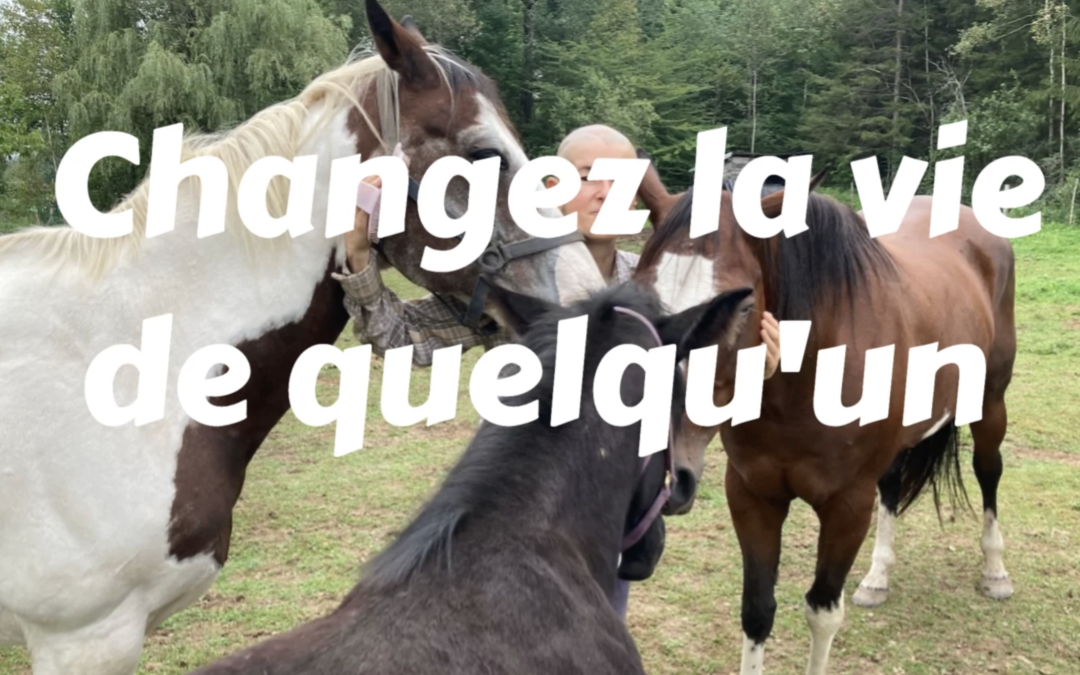 Rendez possibles des histoires comme celle de Sonia