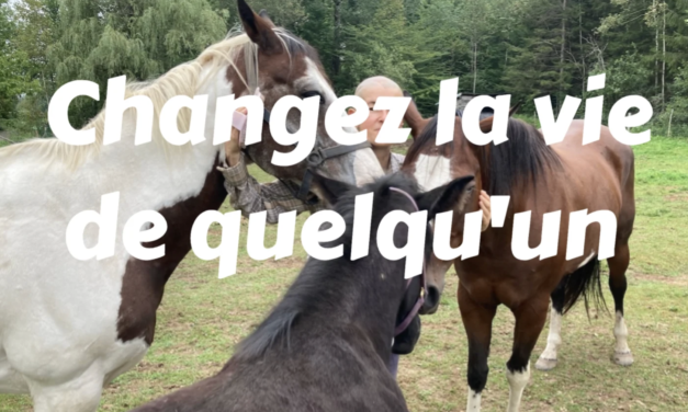 Rendez possibles des histoires comme celle de Sonia